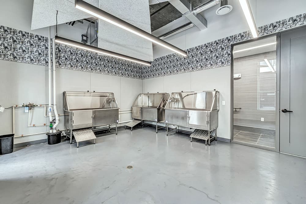 Dog-Grooming-Room-&-Nearby-Dog-Park